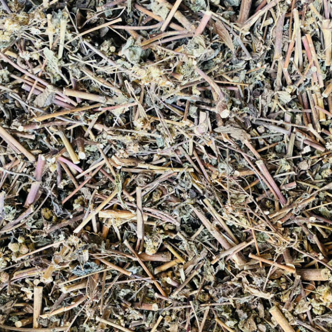 Cây Xuyến Chi 1Kg Khô 2