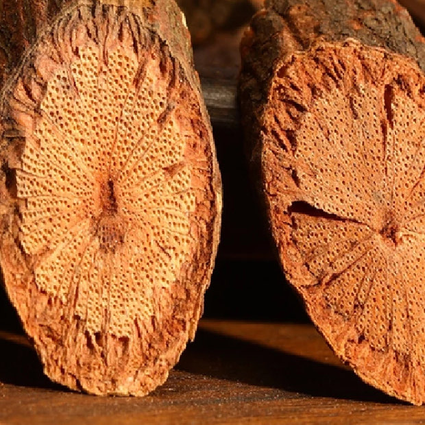 Dạ giao đằng Bách An Khang khô 2