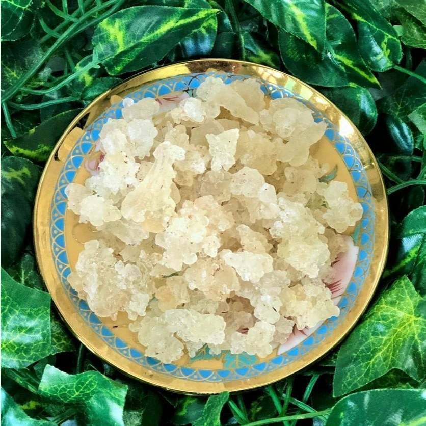 Đĩa tuyết yến khô trên nền lá xanh